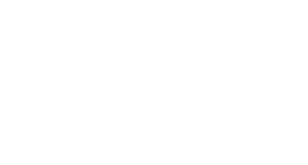 eleveight